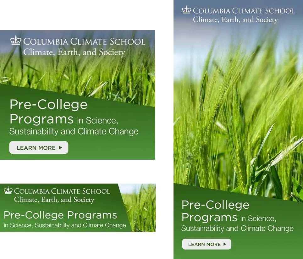 COCS-previous-ad-campaign-group